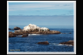 Impressionen 2 Monterey - Pismo Beach (2).jpg